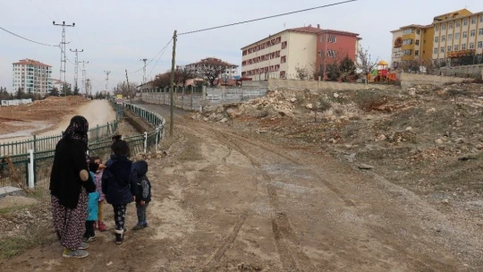 Sokak köpeklerinin saldırdığı kadın yaralandı