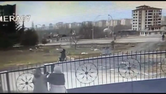 Sokak köpeklerinin saldırdığı kadın yaralandı