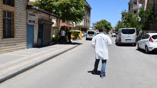 Son arzusu karpuz oldu