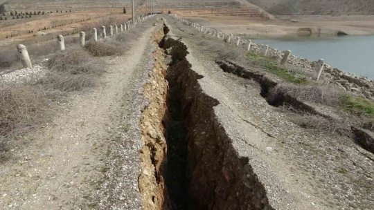Sultansuyu Barajında ürküten görüntü