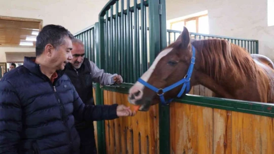 Hara'nın en gözde atı