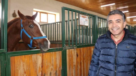 Hara'nın en gözde atı