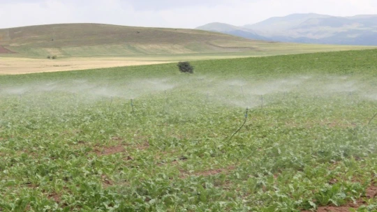 Sulu tarımdan ekonomiye 720 milyon 141 bin TL katkı