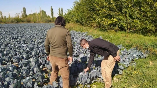 Esenlik'ten doğal ve ucuz sebze