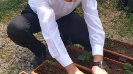 Taze sebzeni balkonda üret projesi