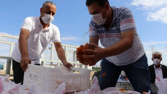 TMO ilk kayısı alımını yaptı