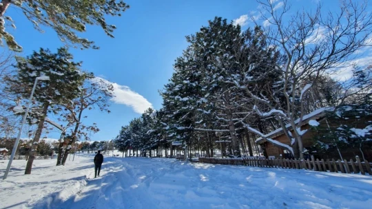 Turgut Özal Tabiat Parkı'nda kartpostallık görüntüler
