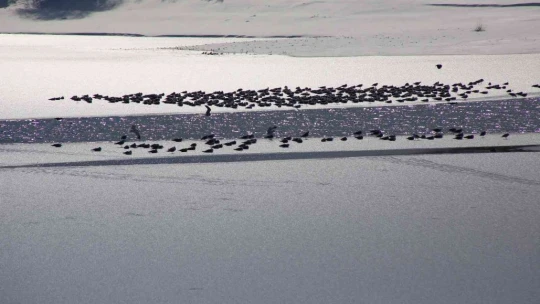 Turgut Özal Tabiat Parkı'nda kartpostallık görüntüler
