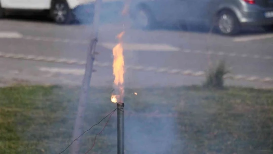 Kayısıdan roket yakıtı ürettiler