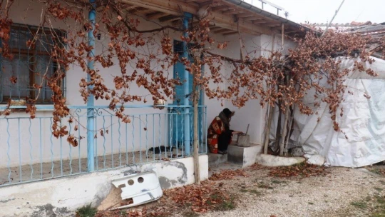 Üniversite öğrencilerinin canlı ders imtihanı