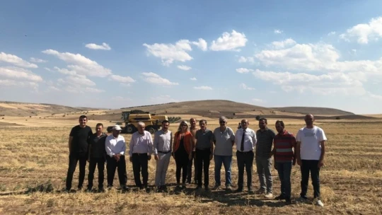 Üreticiye dağıtılan nohutların hasadına başlandı