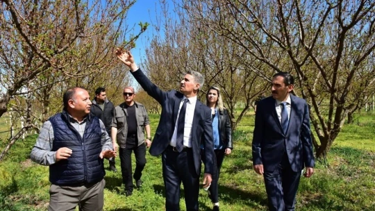 Vali Baruş, hasar gören kayısı bahçelerini inceledi
