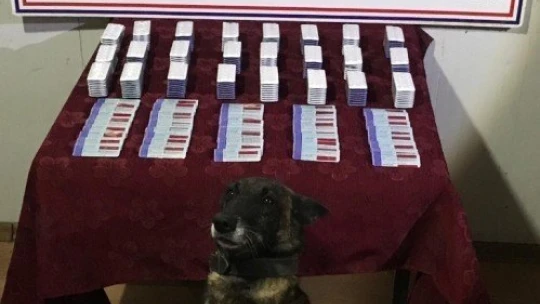 Valizde uyuşturucu hap, çantada kaçak nargile tütünü ele geçirildi