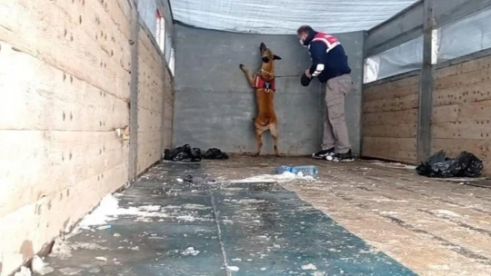 Van'da 62 düzensiz göçmen yakalandı