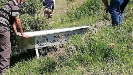 Yaban hayvanları için doğaya su tekneleri bırakıldı