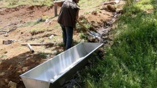 Yaban hayvanları için doğaya su tekneleri bırakıldı