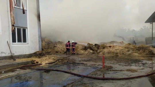 Yangın ahıra sıçramadan söndürüldü