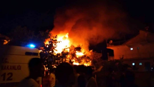 Yangında üç hayvan telef oldu