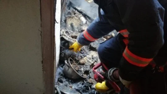 Yangında zehirlenen kadın öldü