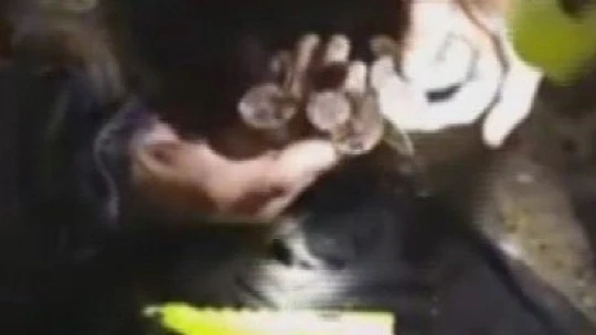 Yangını unuttu altınlarını saydı