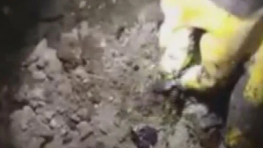 Yangını unuttu altınlarını saydı