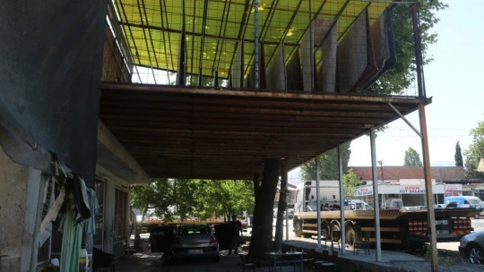 Yarım asırlık çınar ağacını kesmeye kıyamayınca çözümü böyle buldu