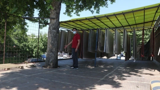 Yarım asırlık çınar ağacını kesmeye kıyamayınca çözümü böyle buldu