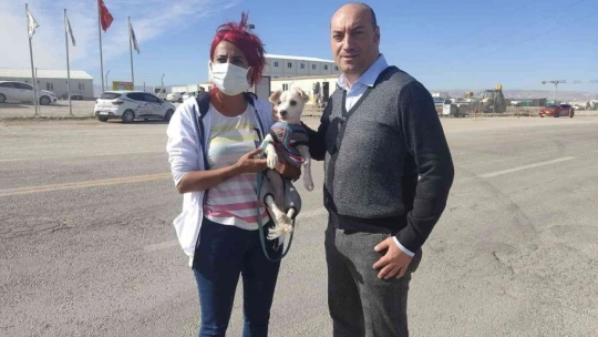 Yavru köpekleri poşetleyip bagaja koymuşlar