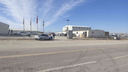 Yavru köpekleri poşetleyip bagaja koymuşlar