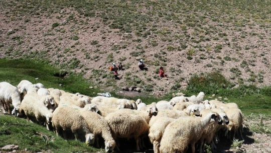 Yayladaki çocukların eğitim sorunu