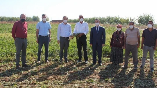 Yazıhan'da pancar hasadı başladı