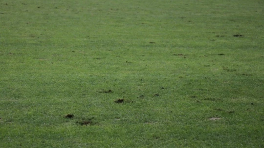 Yeni Malatya Stadı'nın zemini tepki çekti