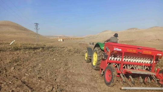 Deneme buğday ekimi yapıldı