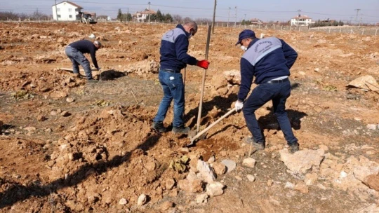 Yeşilyurt Belediyesi 'kiraz ve vişne bahçesi' kuruyor