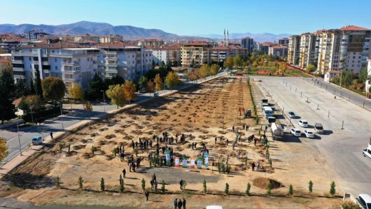 Yeşilyurt Belediyesi'nden bin fidan desteği