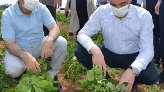 Yeşilyurt Belediyesi'nin tarımsal üretimi beğenildi