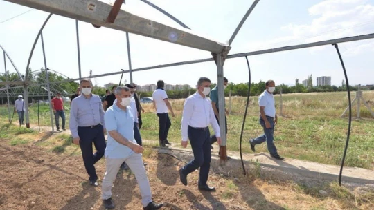 Yeşilyurt Belediyesi'nin tarımsal üretimi beğenildi