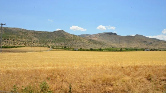Yeşilyurt Belediyesi'nin tarımsal üretimleri hız kazandı