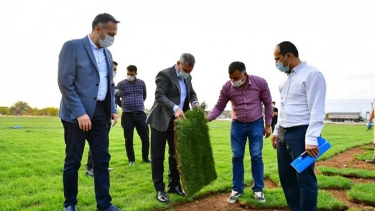 Yeşilyurt Belediyesi, rulo çimlerini kendi üretiyor