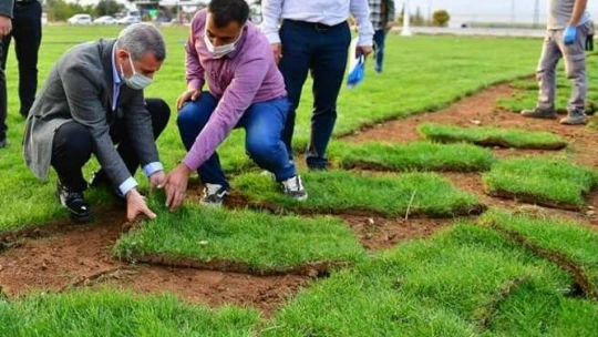 Yeşilyurt Belediyesi, rulo çimlerini kendi üretiyor