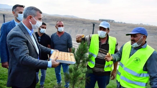 Yeşilyurt Belediyesi, rulo çimlerini kendi üretiyor