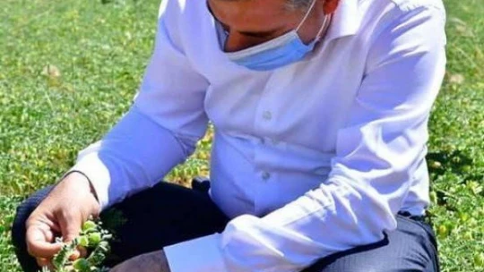 Yeşilyurt Belediyesi tarımsal arge sahasında üretimler hız kazandı