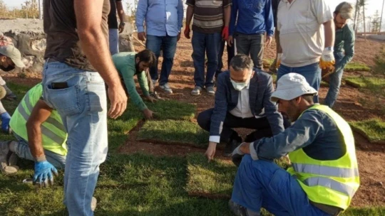15 bin metrekare rulo çim üretildi