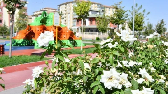 Yeşilyurt renklendi