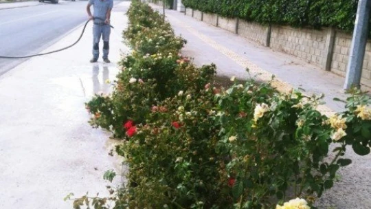 Yeşilyurt renklendi