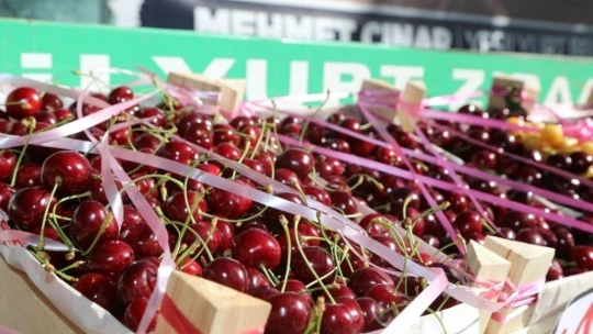 Yeşilyurt'ta en iyi kiraz ve bahçesi ödülleri sahiplerini buldu