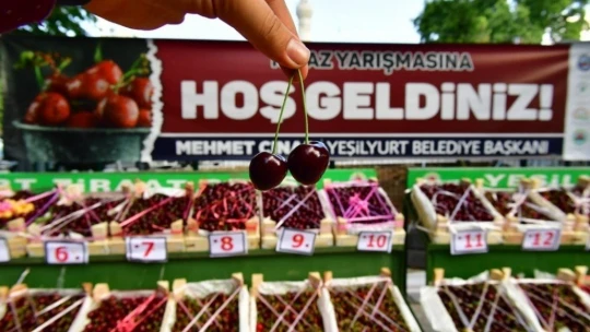 Yeşilyurt'ta en iyi kiraz ve bahçesi ödülleri sahiplerini buldu