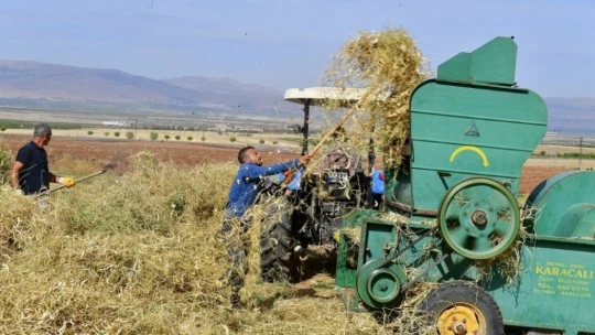 Yeşilyurt'ta tarımsal üretim ve AR-GE sahasında kuru fasulye hasadı