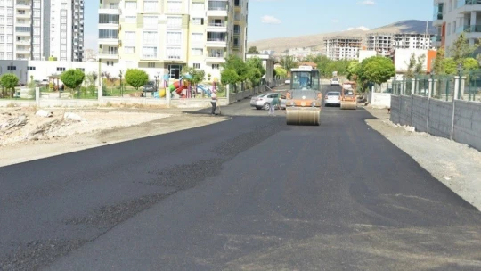 Çınar inceleme yaptı