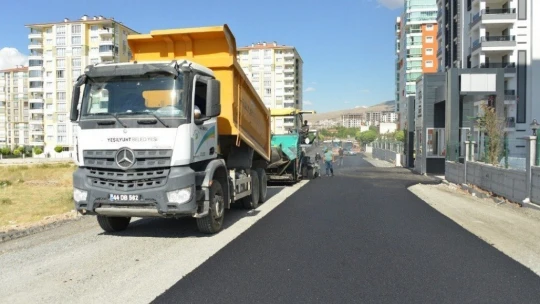 Çınar inceleme yaptı